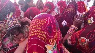 भाई जी टिम्णो बांध टना टन होगा जी तीन बजे री चाय कोनी पाई जी 😊😊#लाइक_शेयर_और_सब्सक्राइब_ज़रूर_करें 