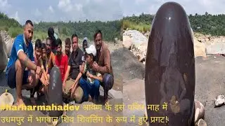 उधमपुर जिले के डिब्बर बाबा पैड़ गांव में एक शिवलिंग मिला है। शिवलिंग की झलक देखने के लिए बड़ी संख्या