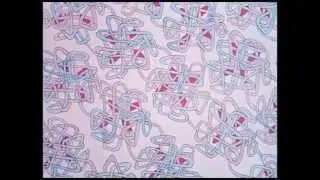 Costelloe - Inflex