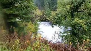 Walk around Dalavich