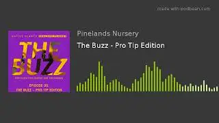 Native Plants, Healthy Planet: Episode 35 - The Buzz: Pro Tip Edition