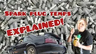 Christine 88GT, choosing your plugs!