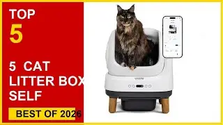 5 Best Cat Litter Box Self Cleaning Automatic in 2026: Top Rated Picks