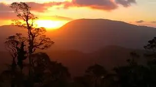 Table Top Views -Tararua's New Zealand