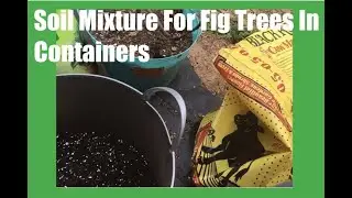 My Soil Mix For Fig Trees In Containers.