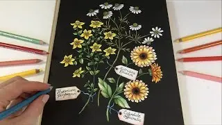Beautiful Day - Vivi Söker En Vän | Coloring Book by Maria Trolle