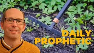 Ежедневное пророческое слово 14 октября 2025 г. 🌱Садовник готовит вас к росту 🌿