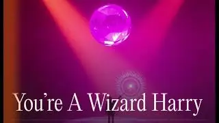 You&rsquo;re a Wizard Harry 