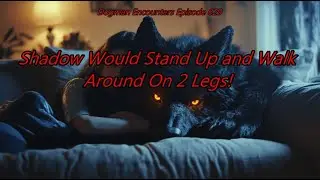 Shadow Would Stand Up and Walk Around On 2 Legs! - Dogman Encounters Episode 629