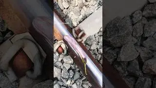 Train vs Eggplant Crushing Experiment 😳👍#shots #shortvideo #viral #train
