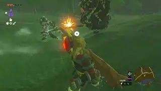 moblin + lizal vs camp