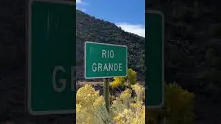 Fall Colors in New Mexico #shorts #fallcolors #travel #newmexico