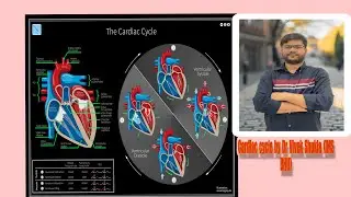 Cardiac cycle NCERT class 11  simplified