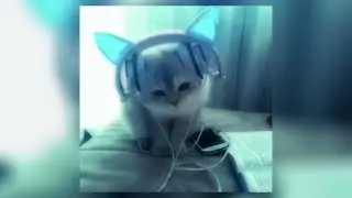 6 dogs - beautiful whips (Slowed Up + Nightcore) by. ?