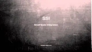 What does SSI mean