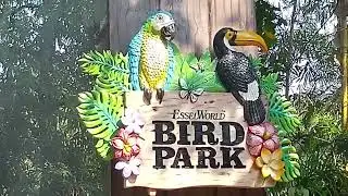Essel World Bird Park Mumbai | Weekend trip Gorai Island | Travel Tales##