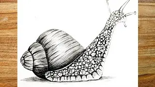 How to draw a snail🐌 in the easiest way