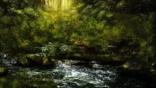 Forest Path [Picture Version] | Original Music By Matt Visual