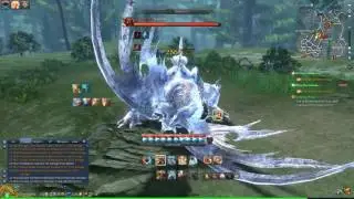 [BNS] Blackwyrm Tanking - Soul Fighter