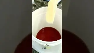 Gel extra forte para dor