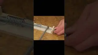N&auml;heres Lebenskniff
