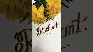 #name #rishant #song #music #guitar #coversong #love #latter #music #video #videos #shorts #viral