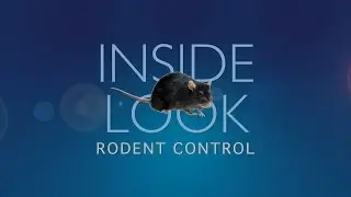 INSIDE LOOK  - RODENT CONTROL
