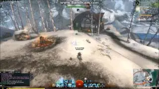 GW2 Funny Things