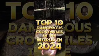 Top 10 Dangerous Crocodiles in the World in 2024 #youtubeshorts #trending #shorts #top10