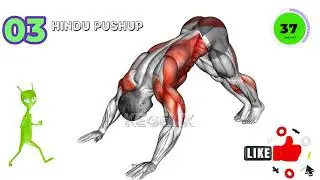 Proven Kegel Exercises for Men: Unlock Rock-Hard Erections & Natural Growth Gains