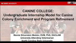 Canine College: Undergraduate Internship Model for Canine Colony Enrichment and Program Refinement