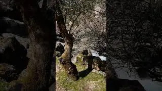 I&rsquo;m waiting for you at Peneda-Ger&ecirc;s National Park