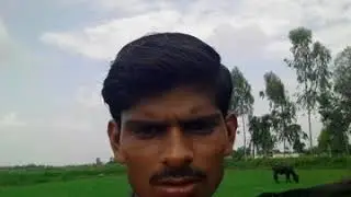 Paytmapp.app.link