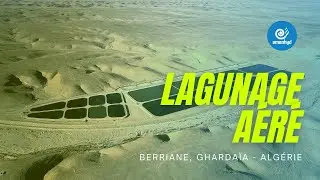 Station de traitement des eaux us&eacute;es par lagunage Berriane, Gharda&iuml;a