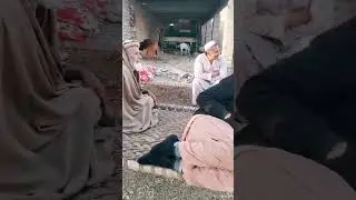 Gran Mashran #viral #culture #video #kpk #mardan #pathan#music #viralshots #happy