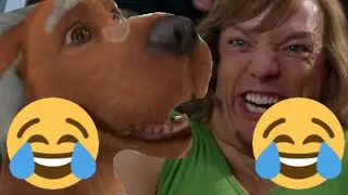 Buff Shaggy, только это Youtube Poop 3