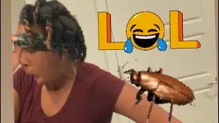 Water bug PRANK on wife😂