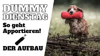 So geht Apportieren - Der Aufbau