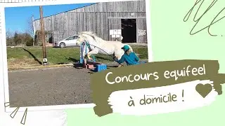Concours d'equifeel à domicile