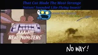 Glitch in Matrix STRANGE FLYING INSECT MAKING A KATYDIDS LIKE NOISES TURNS INTO A CAT
