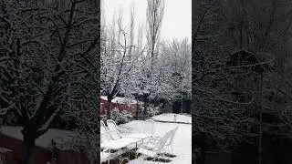 Subhanallah || Live Snow-falling Skardu #shortvideo #foryou #shorts #pov
