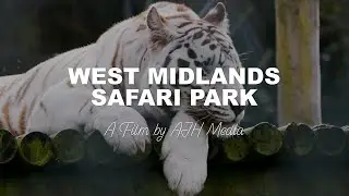 West Midland Safari Park in 4K | AJH Media