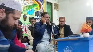 Qari Hammad Anwar Nafeesi Sb#Quran#Tilawat