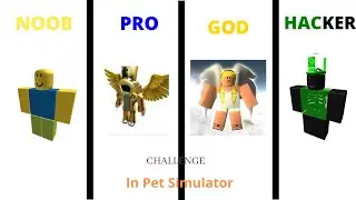 NOOB vs PRO vs GOD vs HACKER CHALLENGE In Roblox Pet Simulator X!
