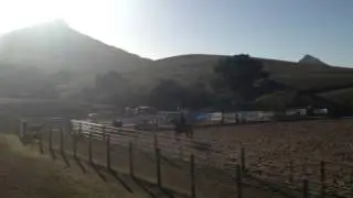 Ranch versatility clinic