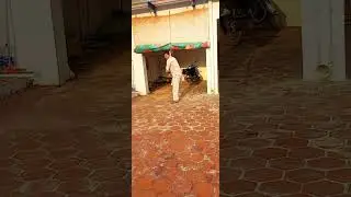 Cricket match between sons and father @cricketlovers
