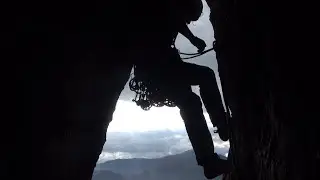 Die Riesen-Riss-Rindviecher