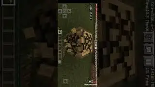 Regis Gabriel jogar Minecraft