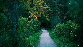 Covert Lanes Create Limbo: Close Them (Twin Flames + Cyberstalking)