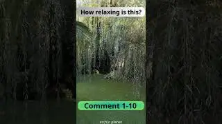 🌿 5 Seconds of Serene Garden View with Calm Piano Music 🎶 Vol 307